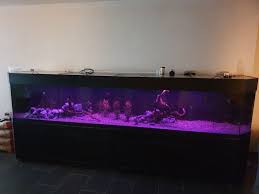 aquariumwinkel overijssel