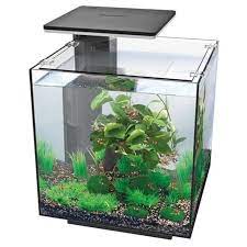 aquarium kopen