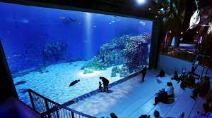aquariumopstarten kampen