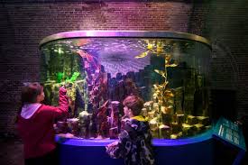 aquarium nl