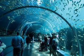 aquariums