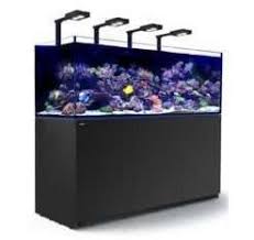 aquarium kopen groot