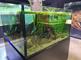 aquarium limburg