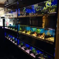 aquarium winkel amsterdam