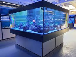zeewater aquarium winkel