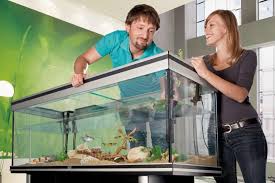 aquarium te koop