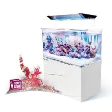 3 meter aquarium te koop