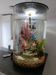 cilinder aquarium te koop