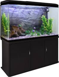 goedkoopste aquarium webshop