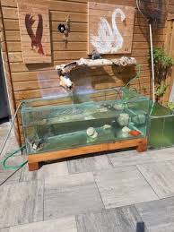 hoog aquarium te koop