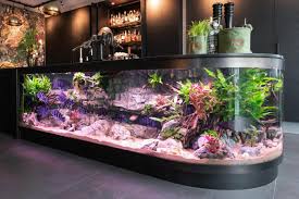 tropisch aquarium kopen