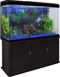 aquarium 120 cm te koop