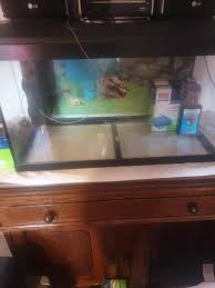 aquarium te koop tweedehands