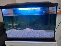 lek aquarium te koop