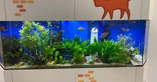 nieuw aquarium kopen