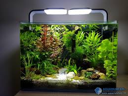 nieuwe aquarium te koop