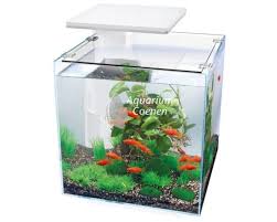 superfish aquarium kopen