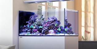 aquarium zeewater te koop