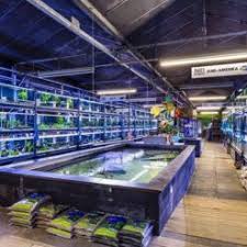 aquariumvissen kopen amsterdam