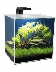 aquarium aanbieding