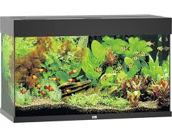 aquarium 25 liter