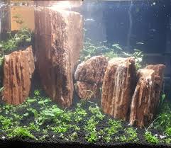 aquarium decoratie stenen