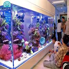 luxe aquarium