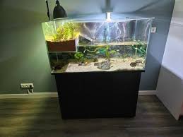 aquarium 120cm