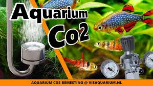 hoeveel co2 in aquarium