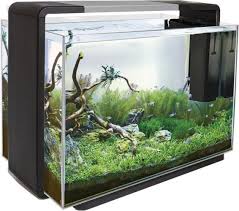 de aquarium