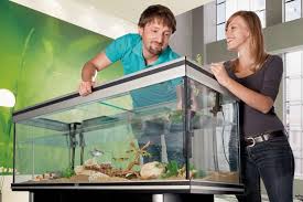 aquarium goedkoop