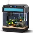 aquarium voor vissen