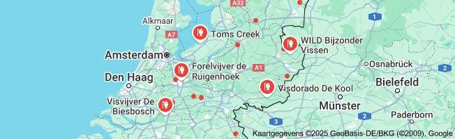 steur vissen