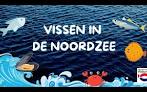 vissen in de noordzee
