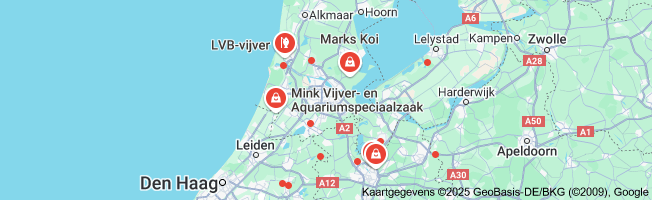 vissen vijver