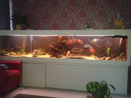 groot aquarium kopen