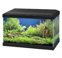 ciano aquarium verlichting