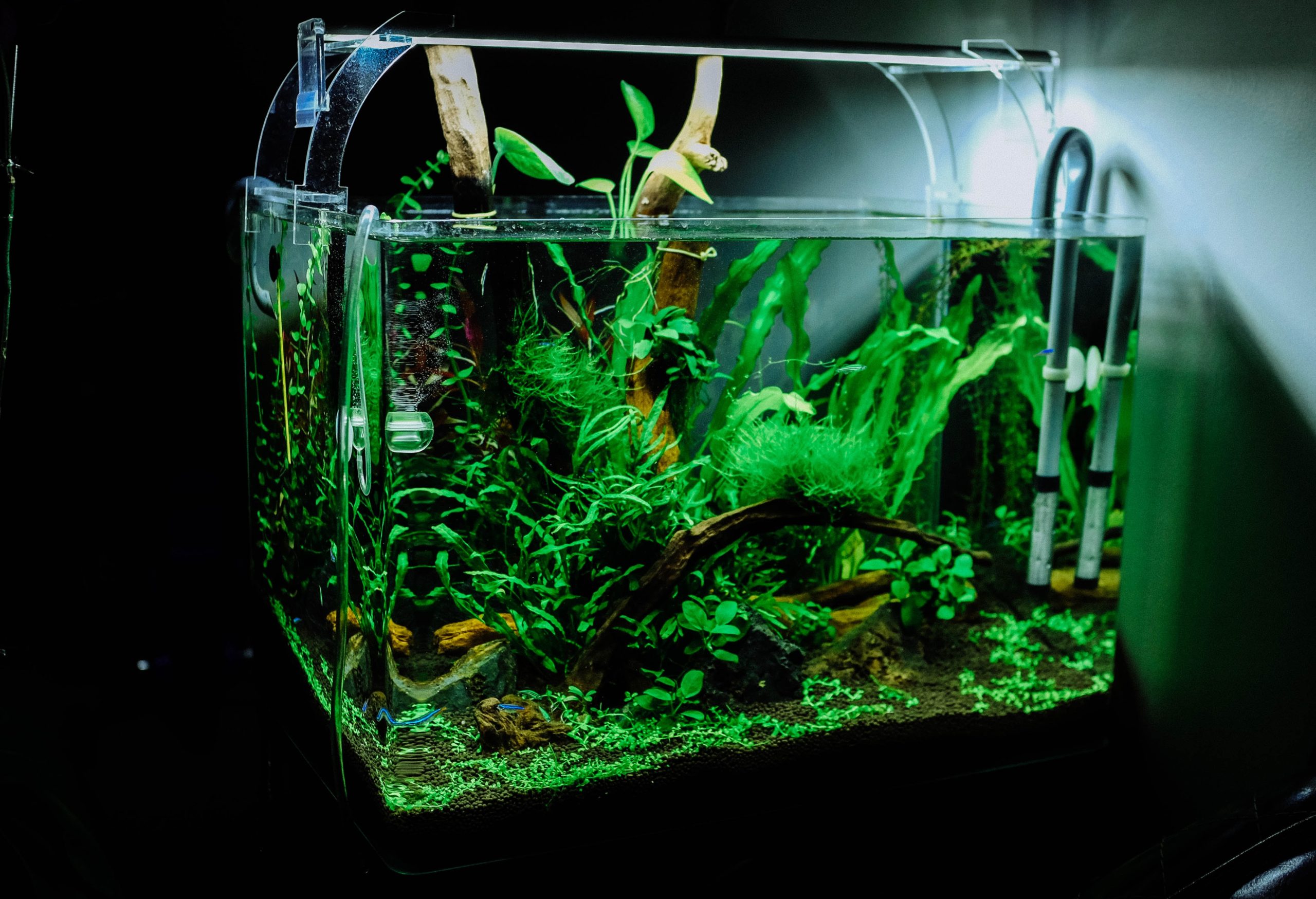 aquarium laten maken prijs