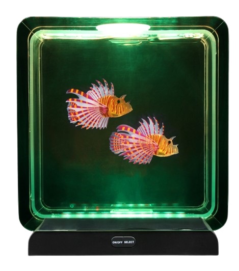 speciale vissen voor aquarium