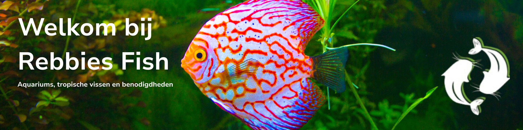 tropische vissen winkel